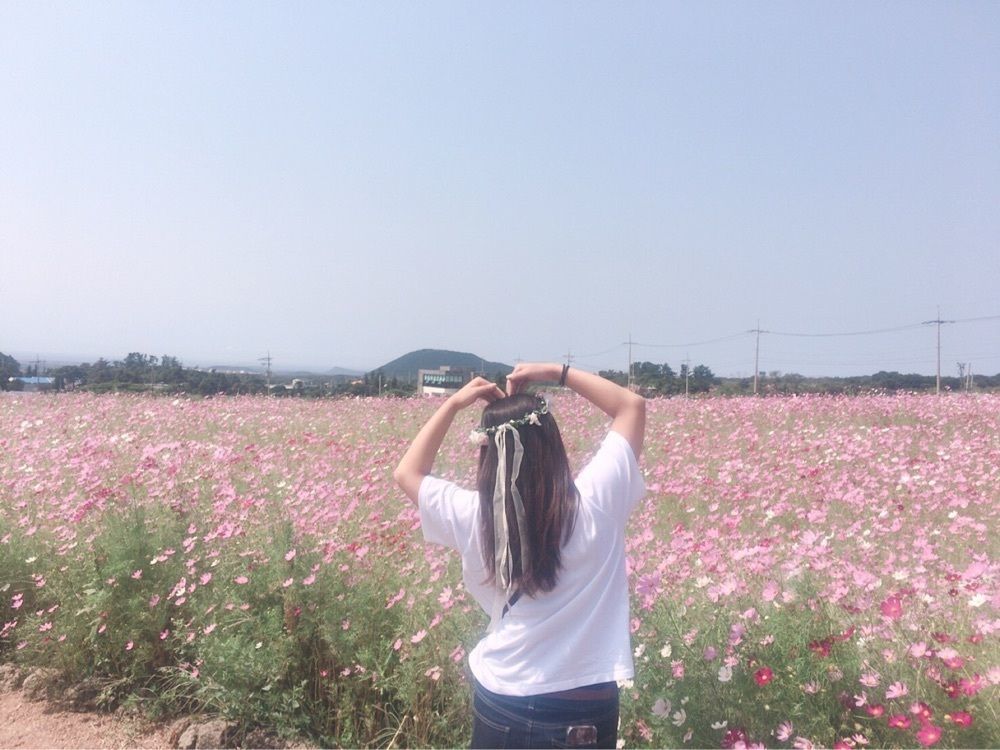 まいまい