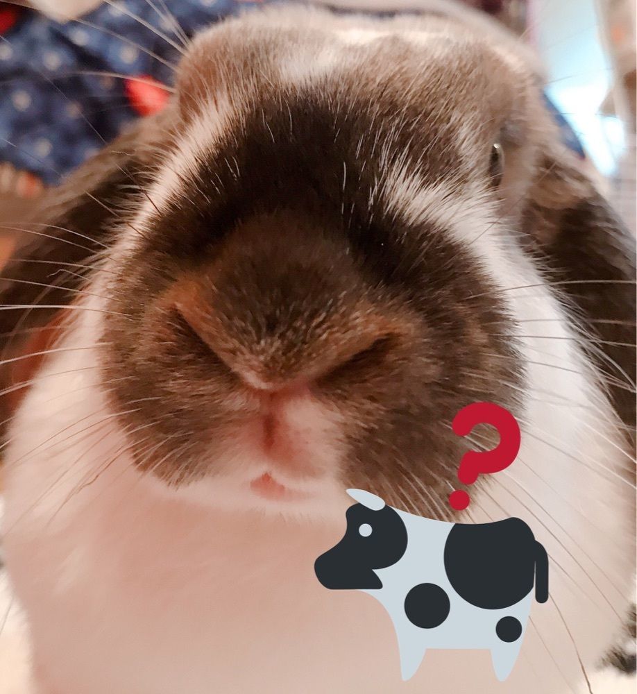 ぽにぽに