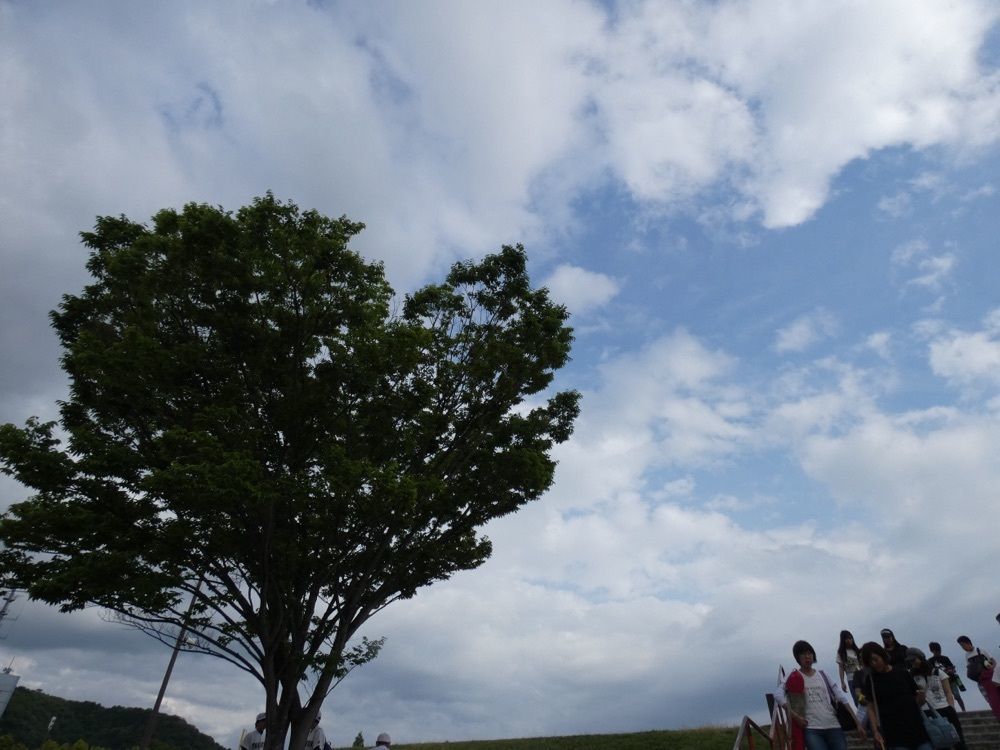 joyful_landscape_715e