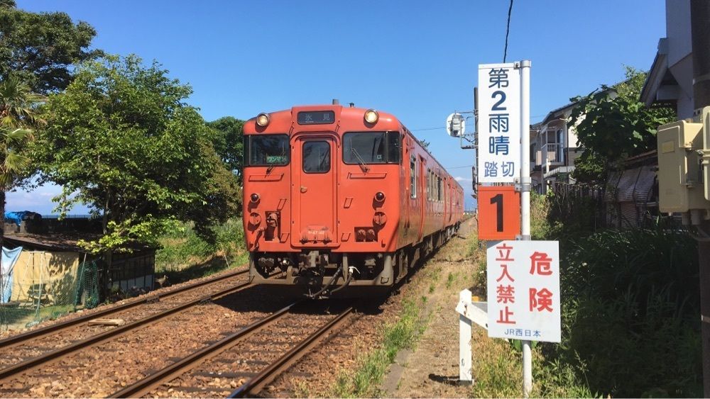 donbiki206
