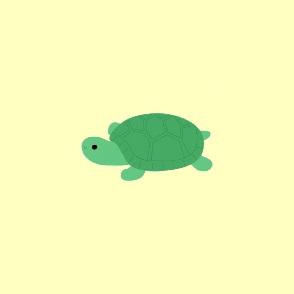 どんがめ