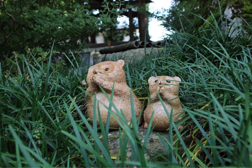イソフラ