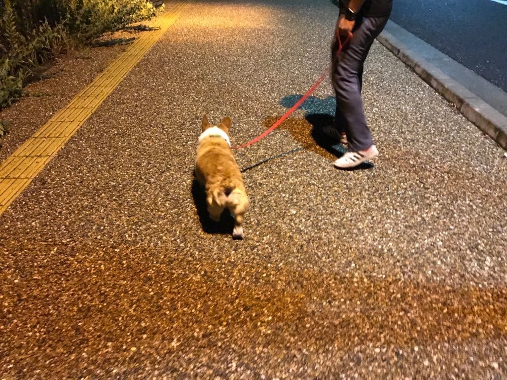 らふらふ