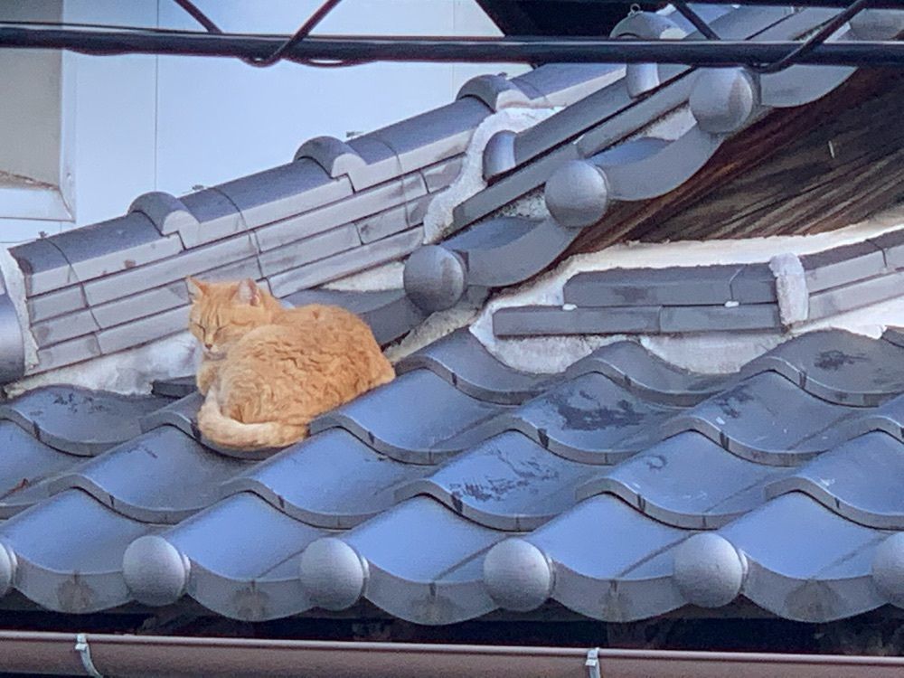 も も