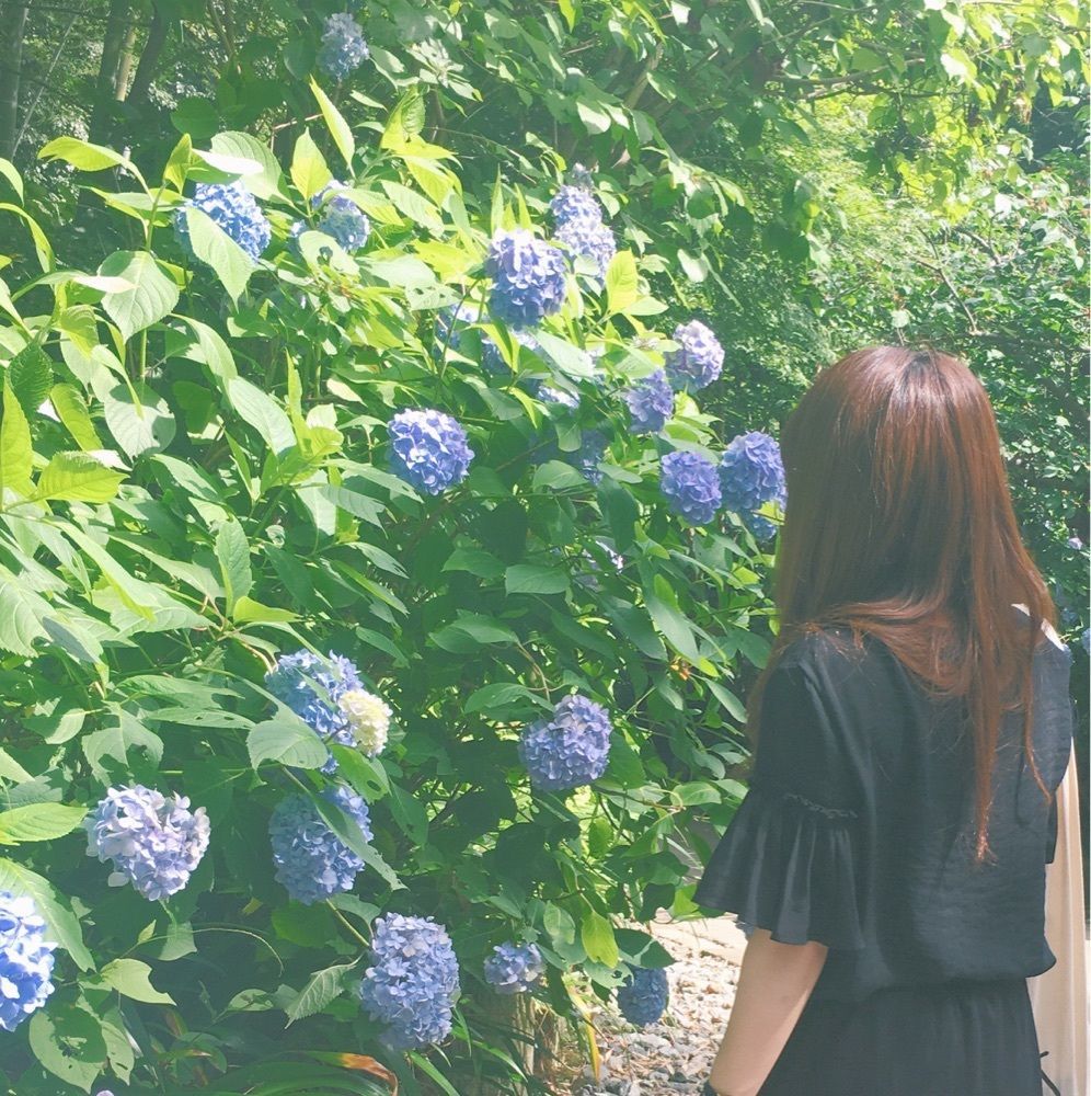 wakana.a