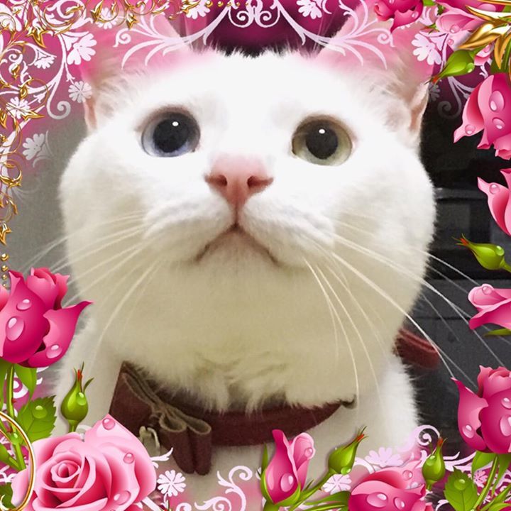 深優樹