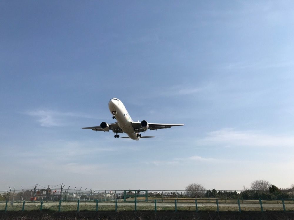 やす