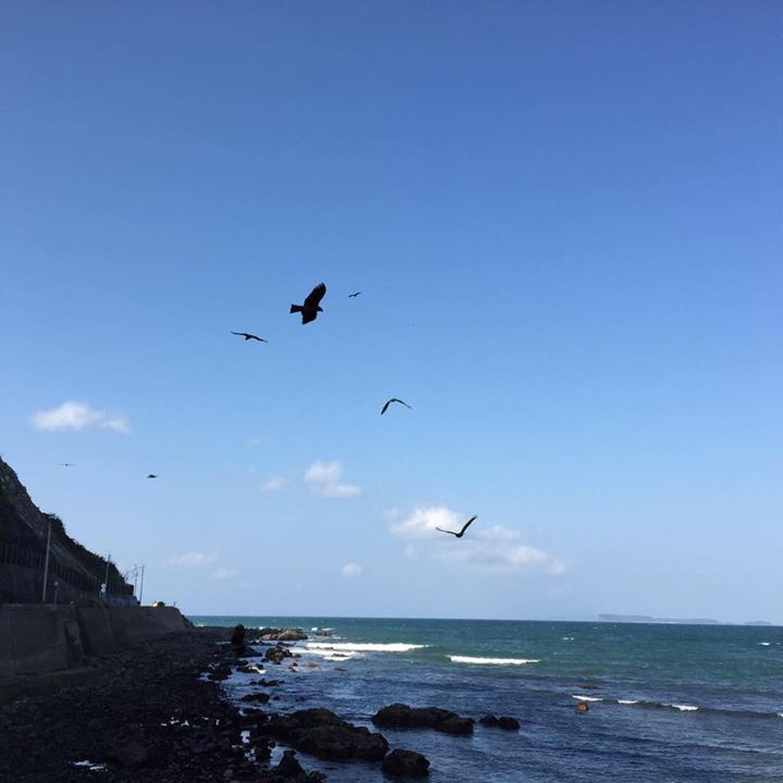 オウシンイチ