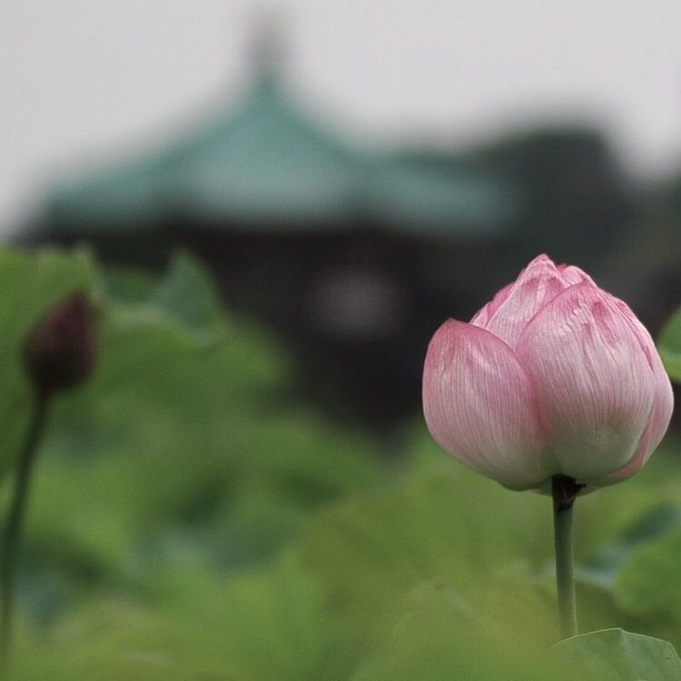 きよたか