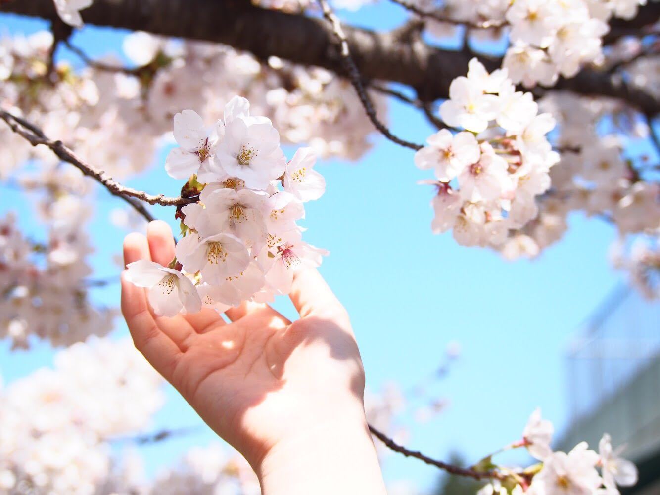 yuka1604