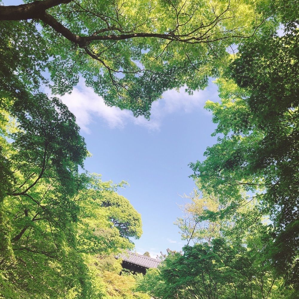 bubu_y_t