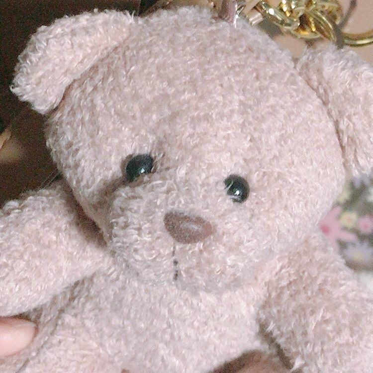 ちびぽん
