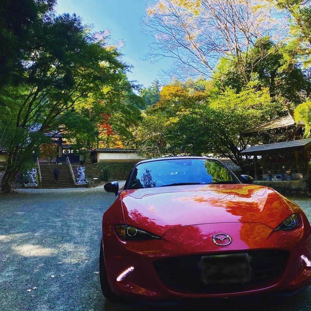 ライオンハート