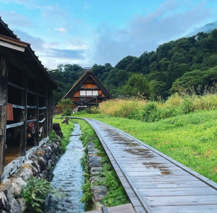 JINmayu
