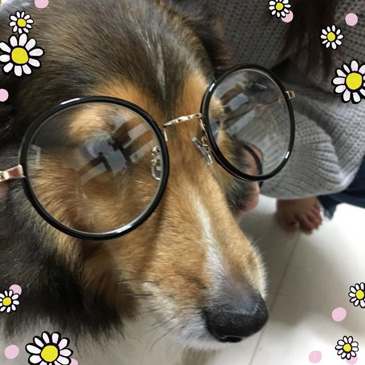 Miya