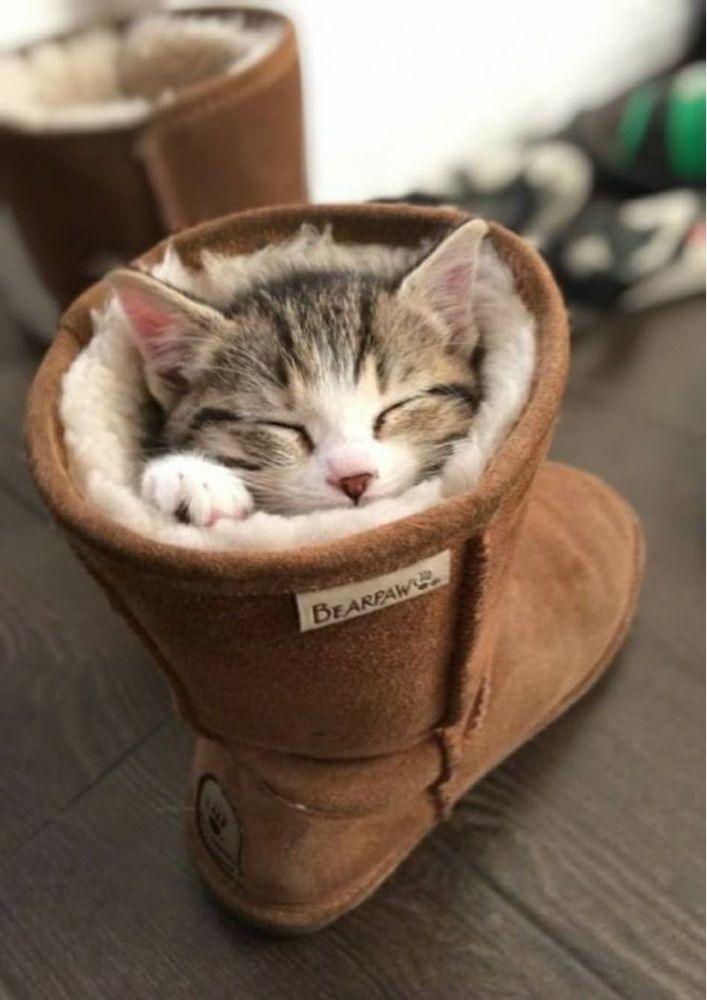 じょうにし