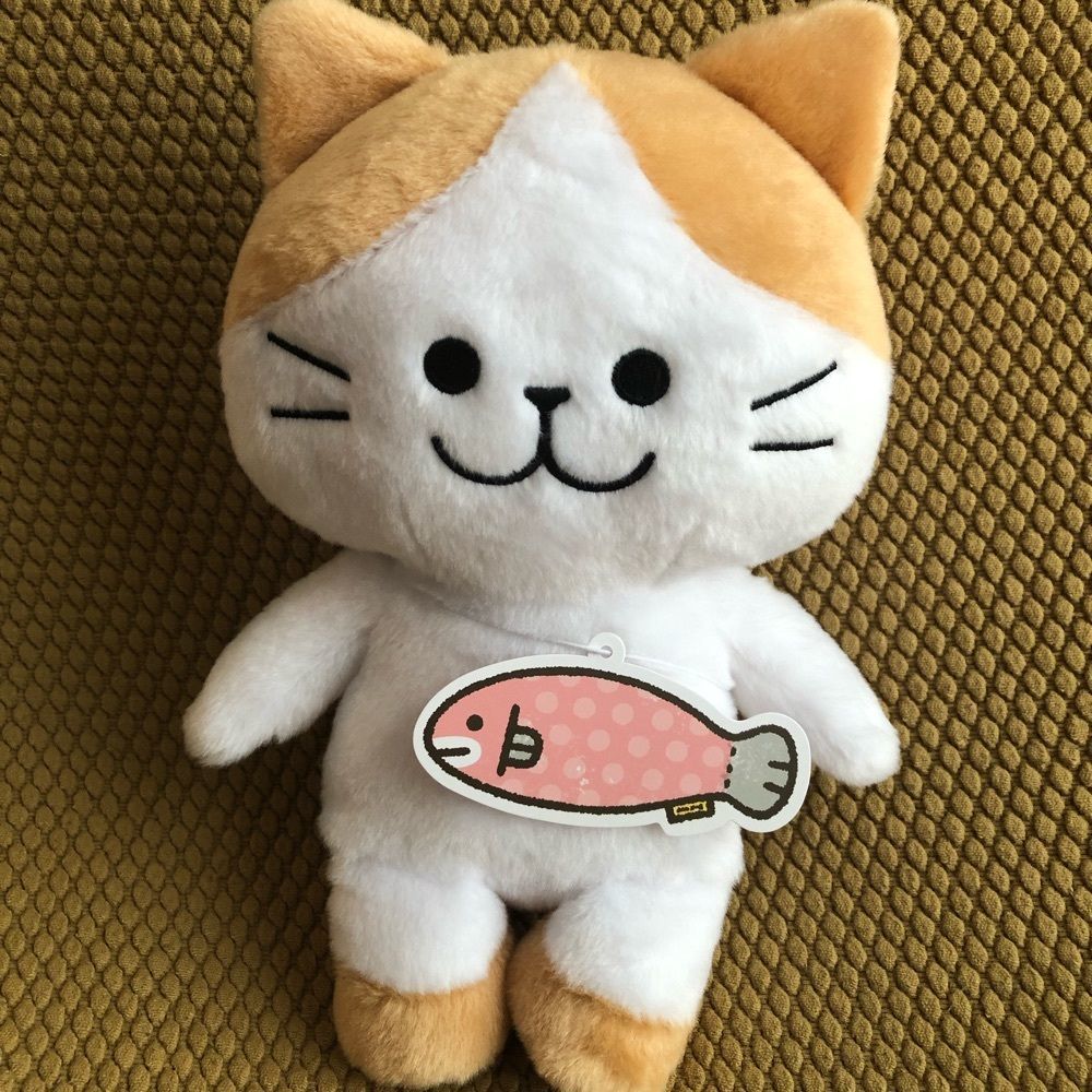 ♡ぽんこ♡