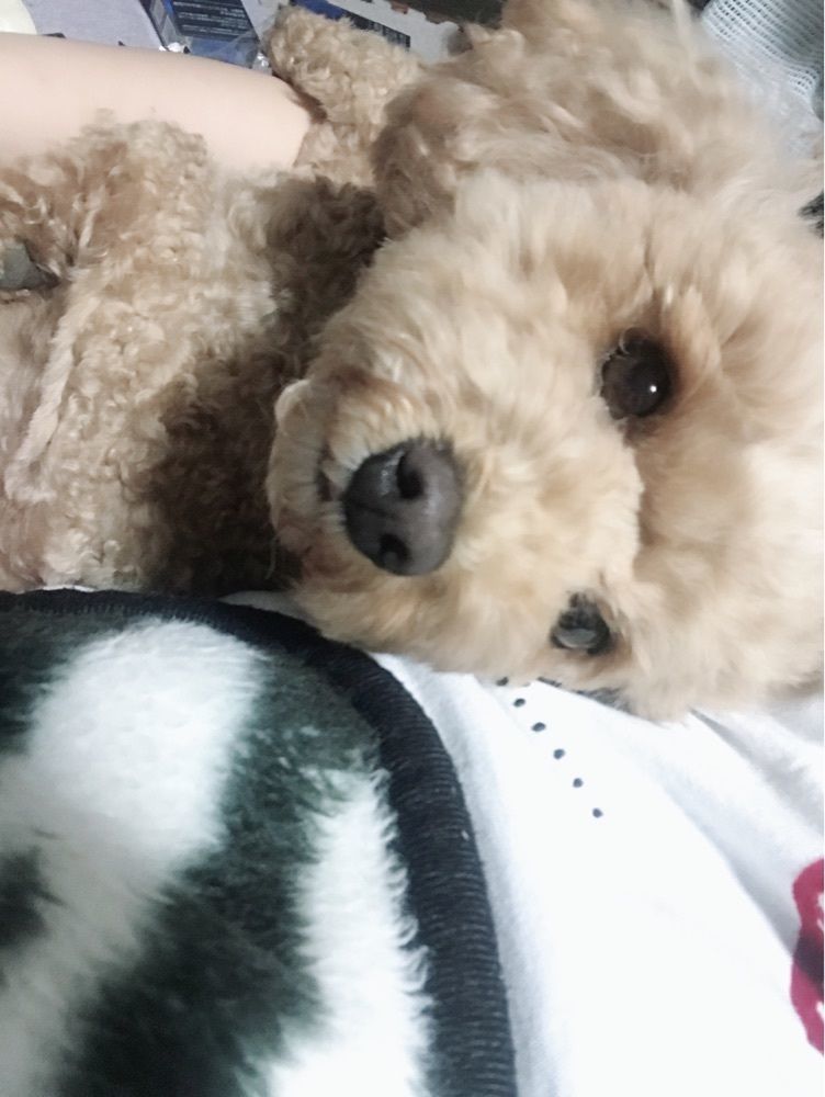 食いしん坊
