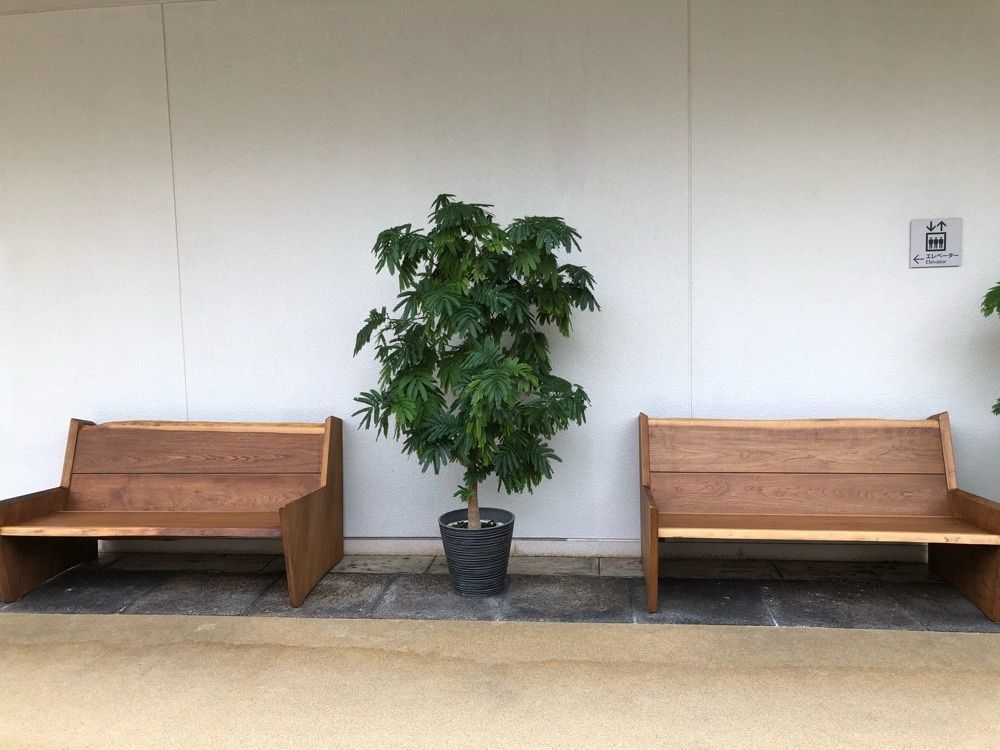 音（おと）
