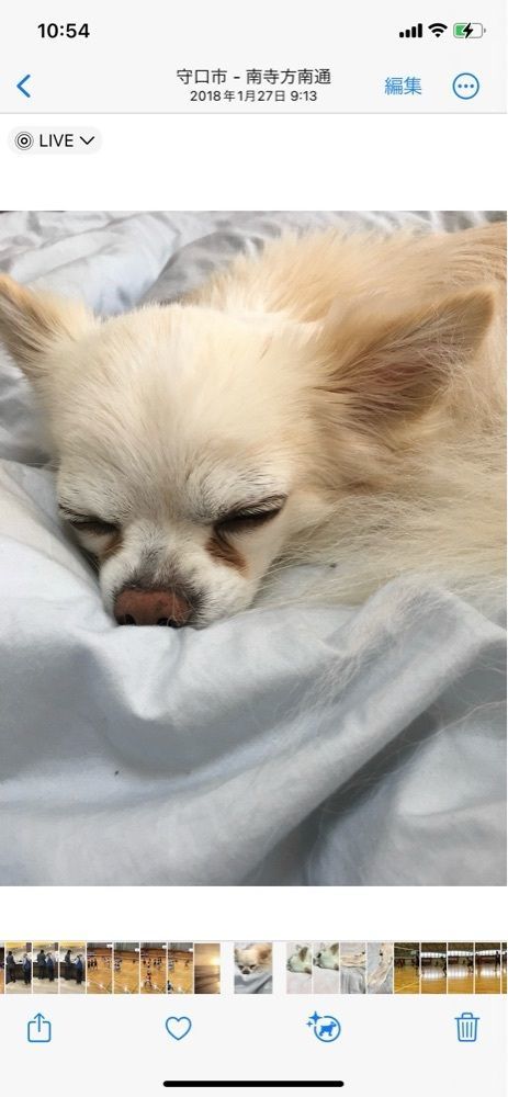kiki