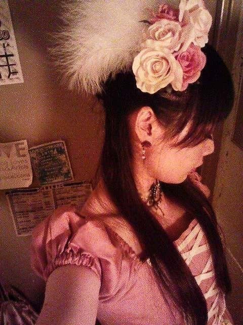 dolly
