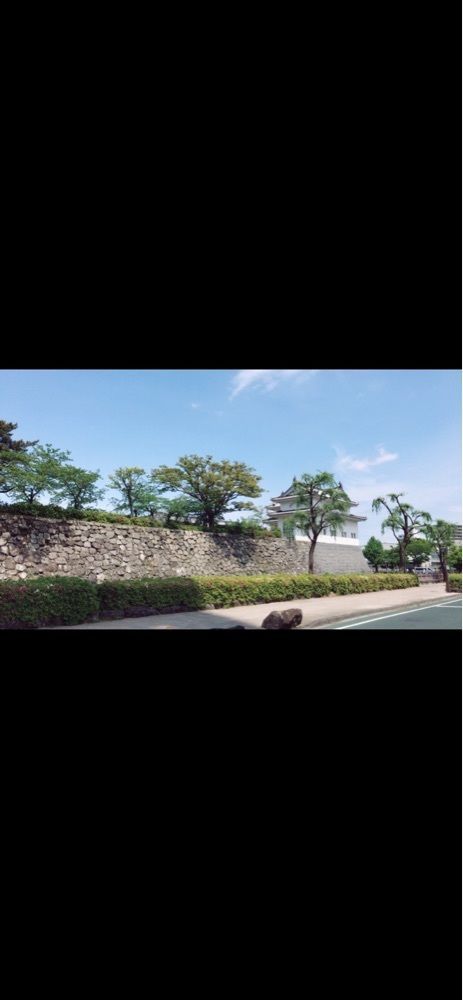 bright_garden_0e58