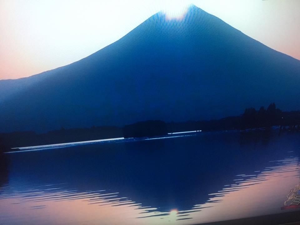 タカ