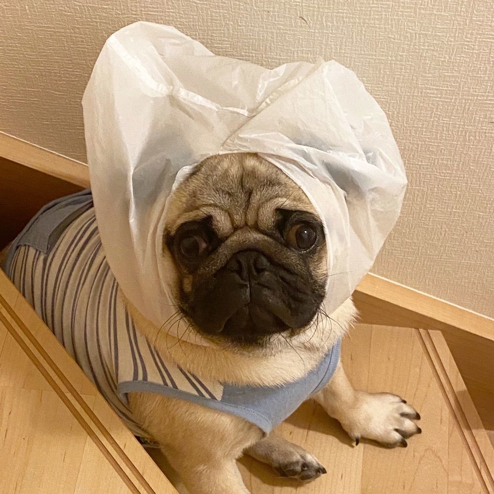 飛行船