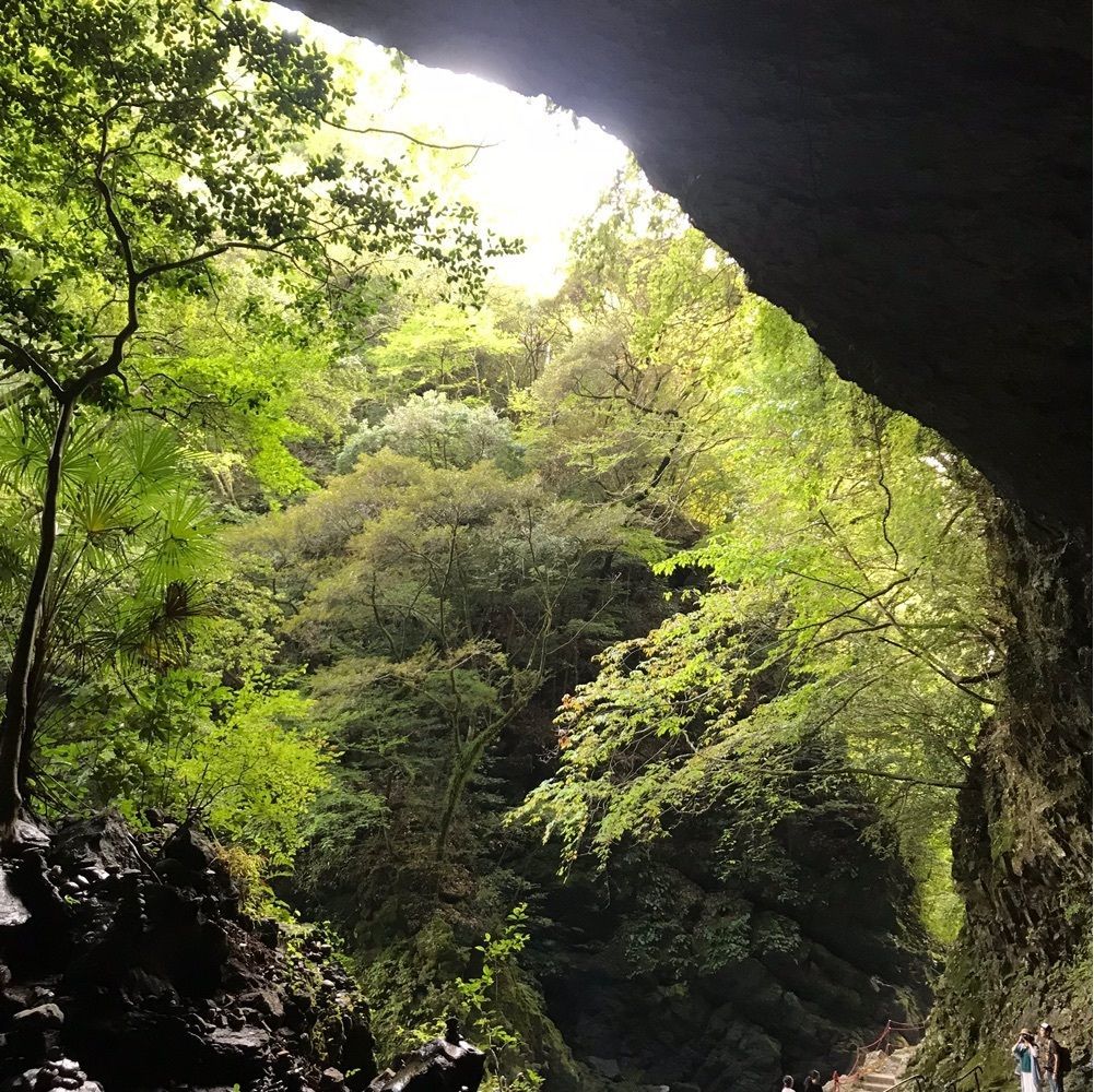 おひとり様ごはん