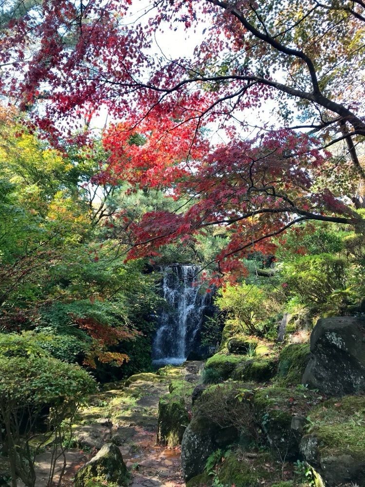 旅人
