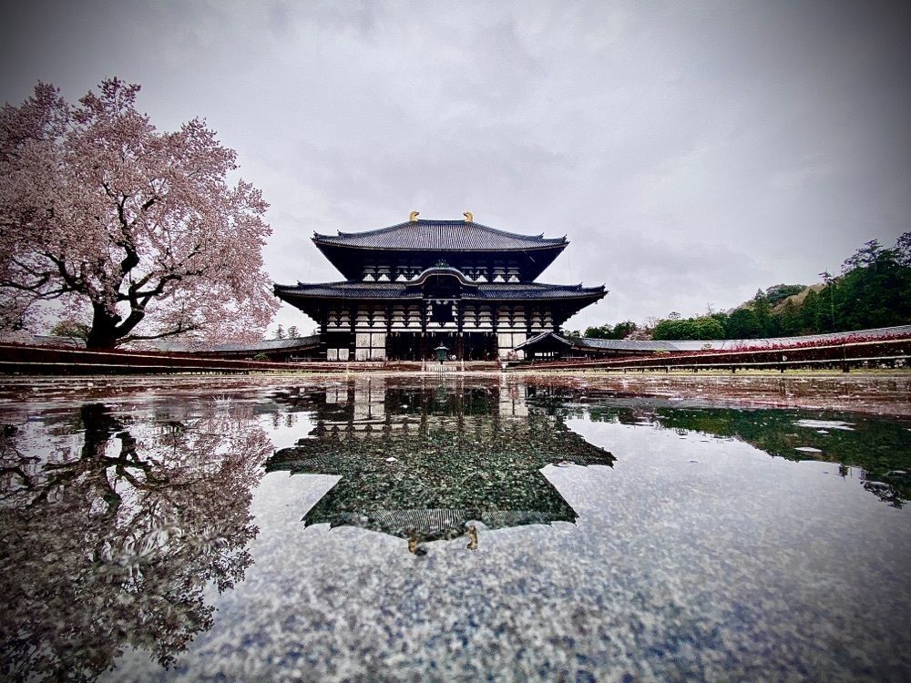 yumirokawahara