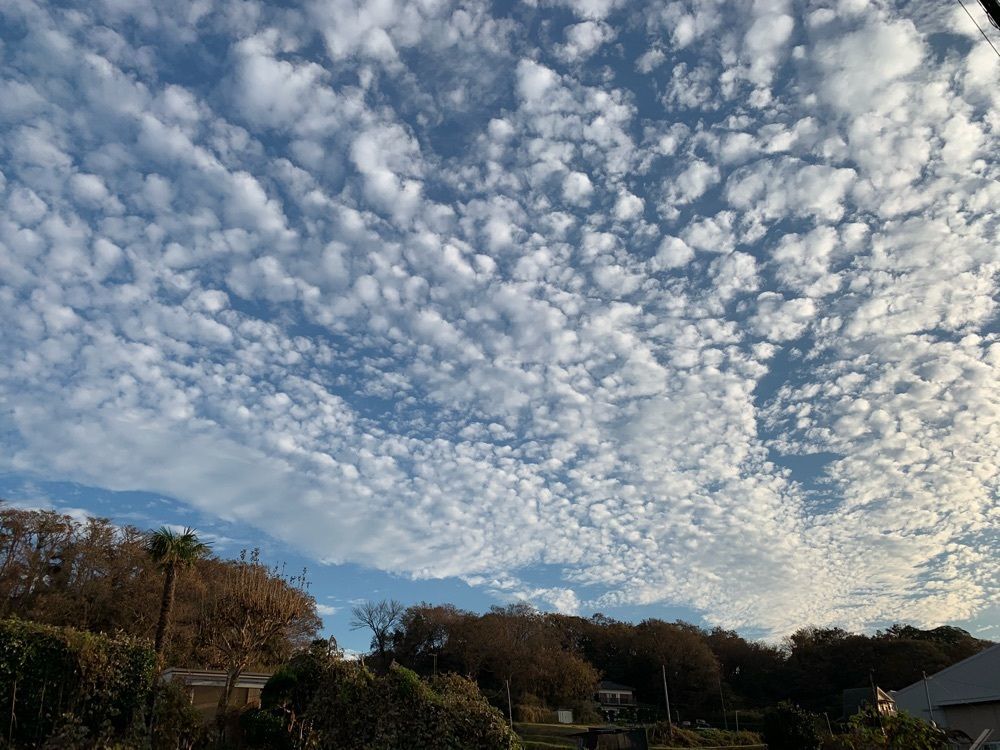 イーグル