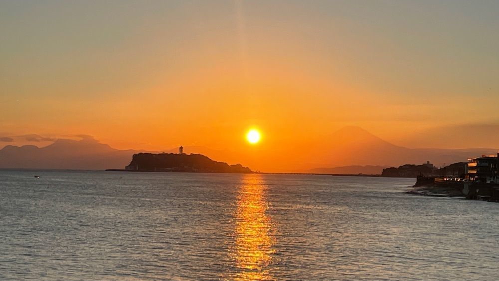 大井正宣