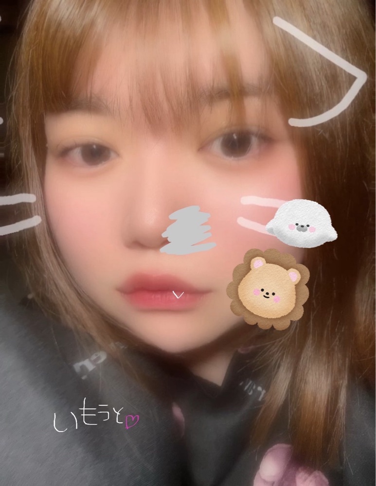 ぼんじり🐨
