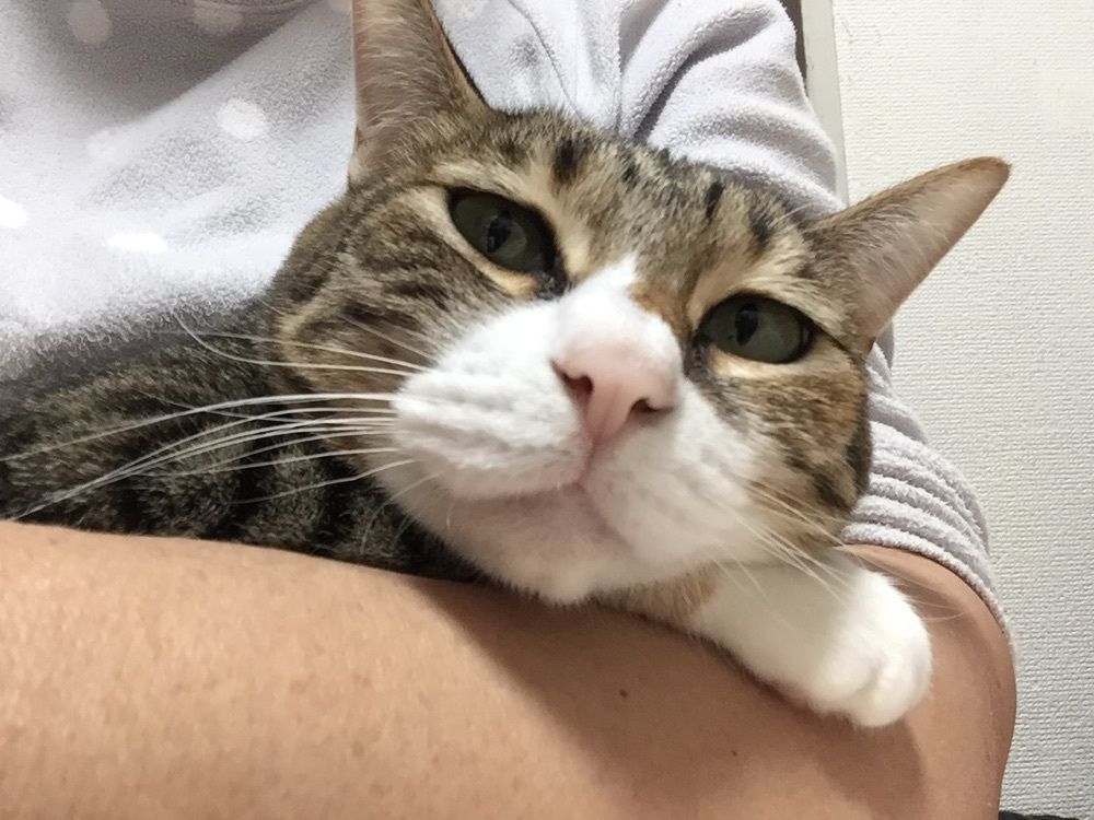 みつえ