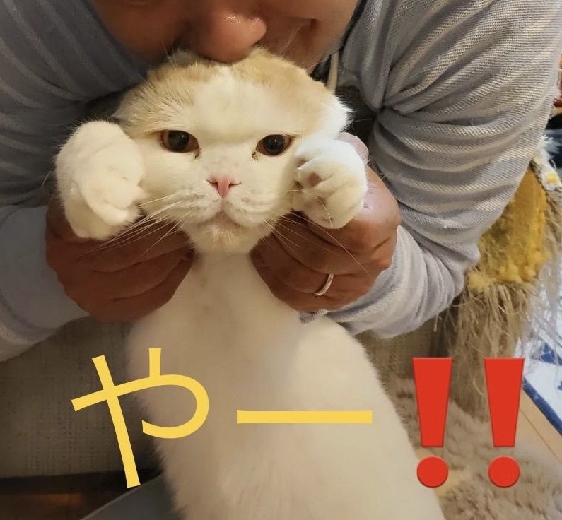AKIO