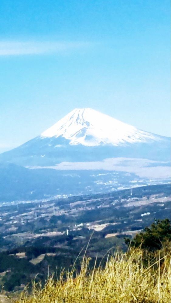 ダルマ大使