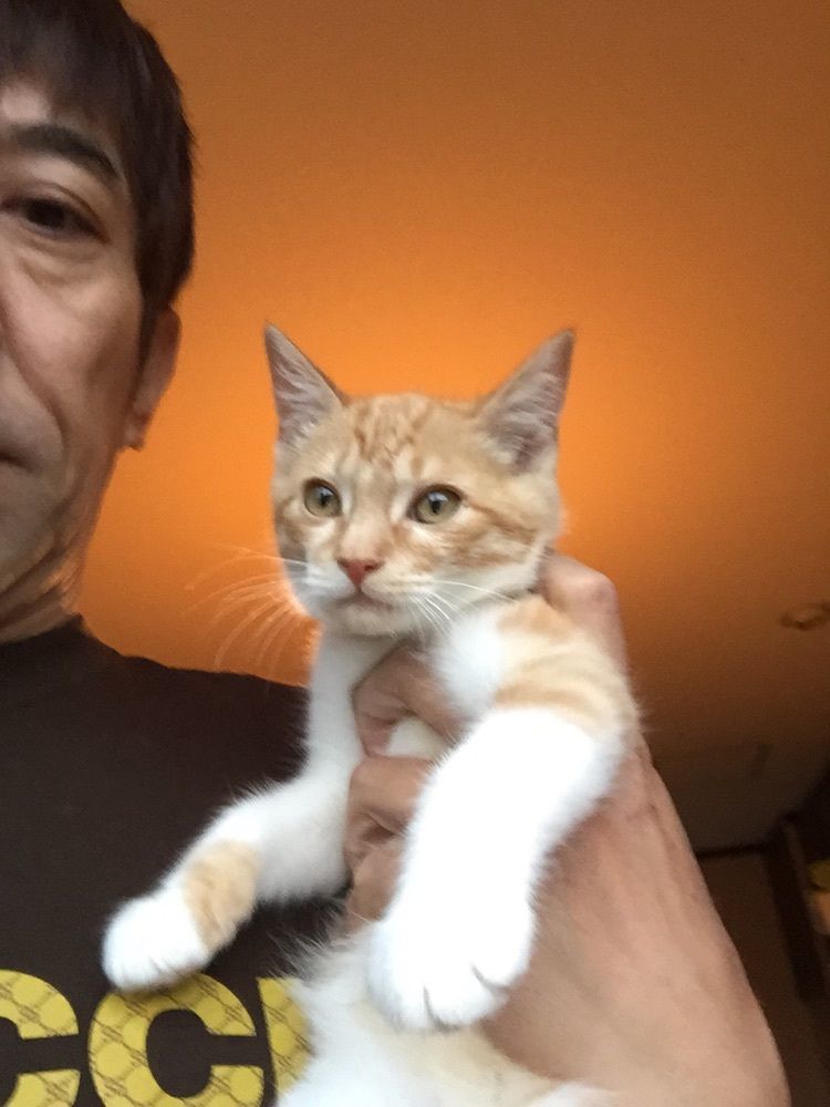 すっかんぴん