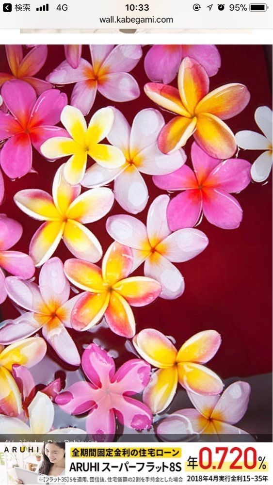 はいむるぶし🌺