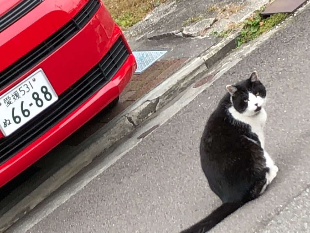 朝日梅吉