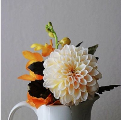 DAHLIA★（ダリア）