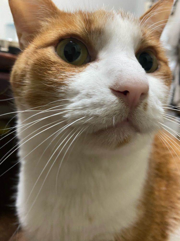 KI💓