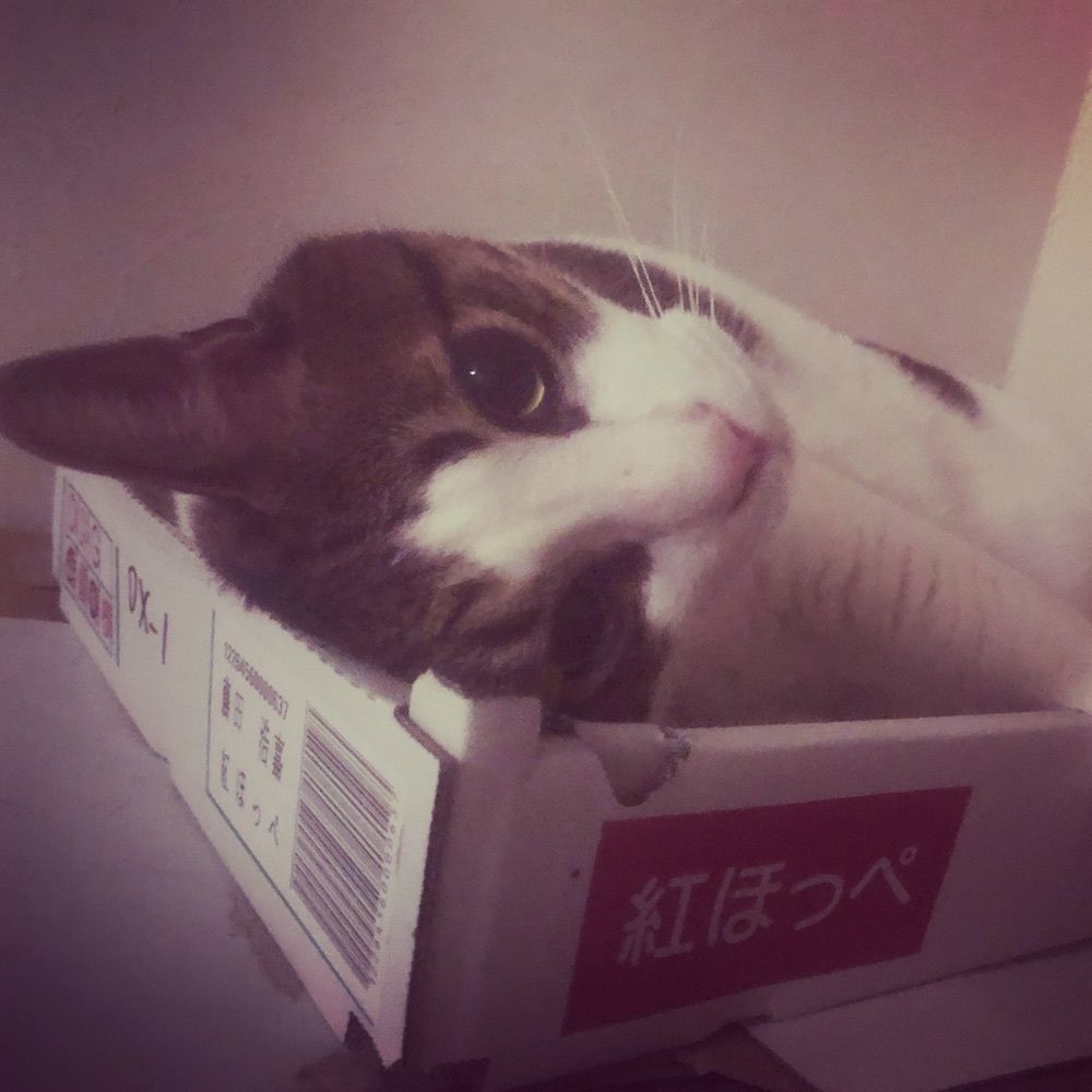 えむ