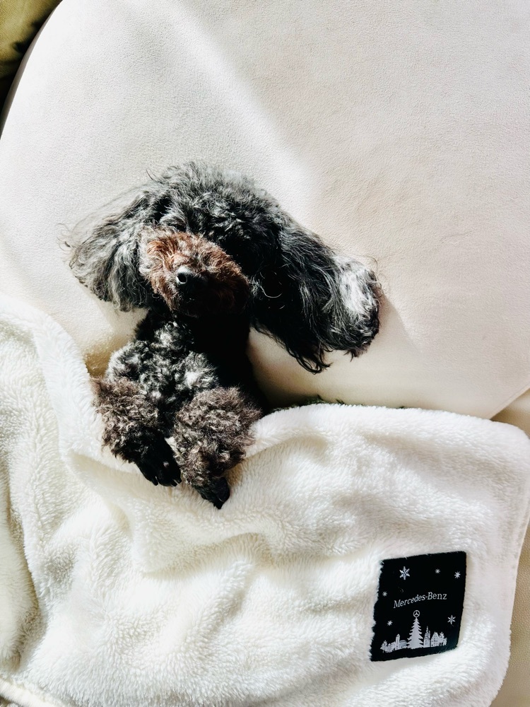 nico☺︎