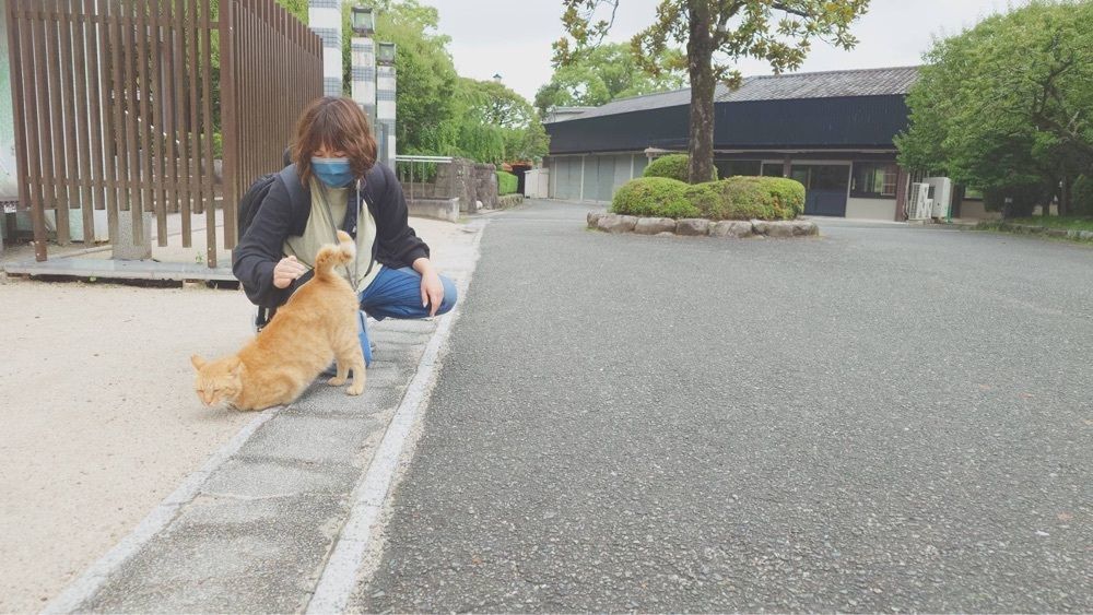 Aki