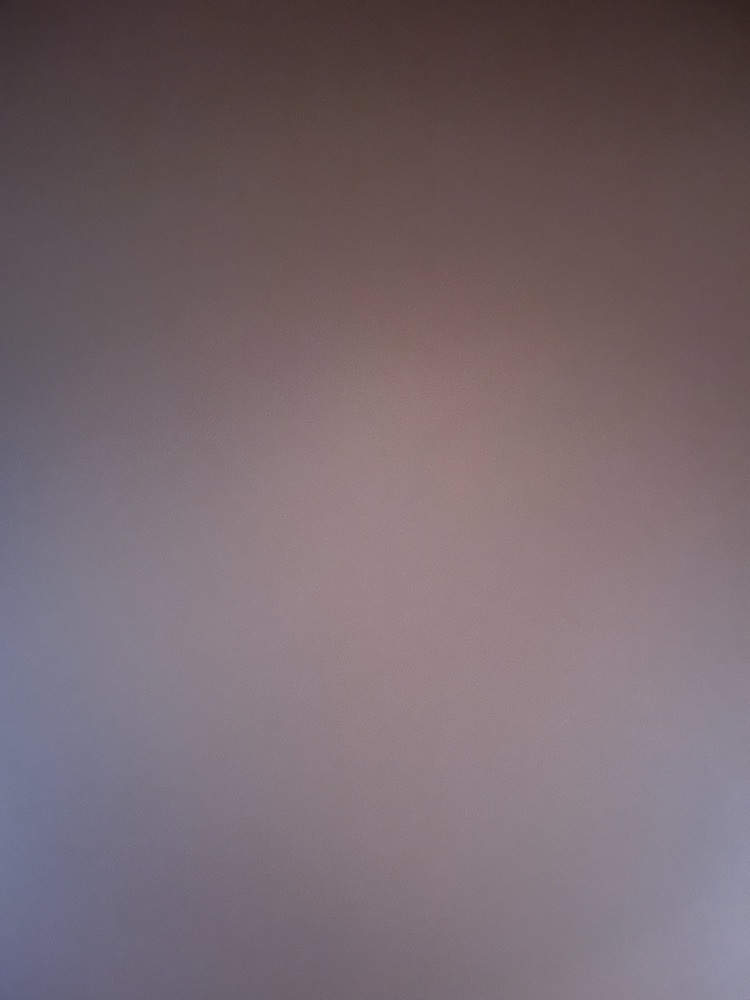 ｙ