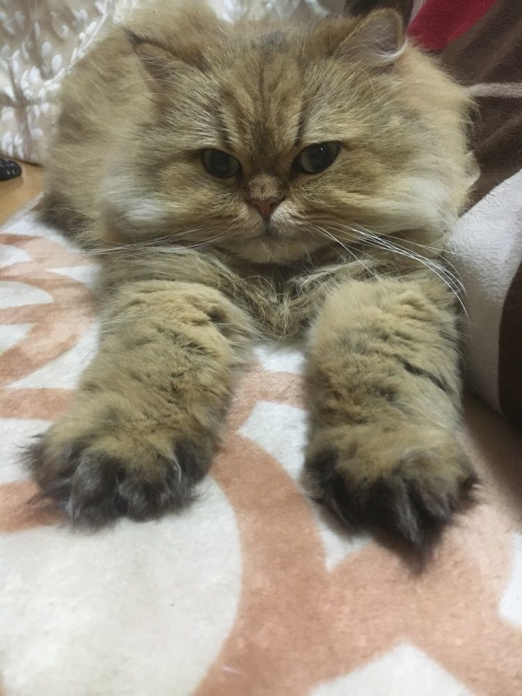 みちょ♢