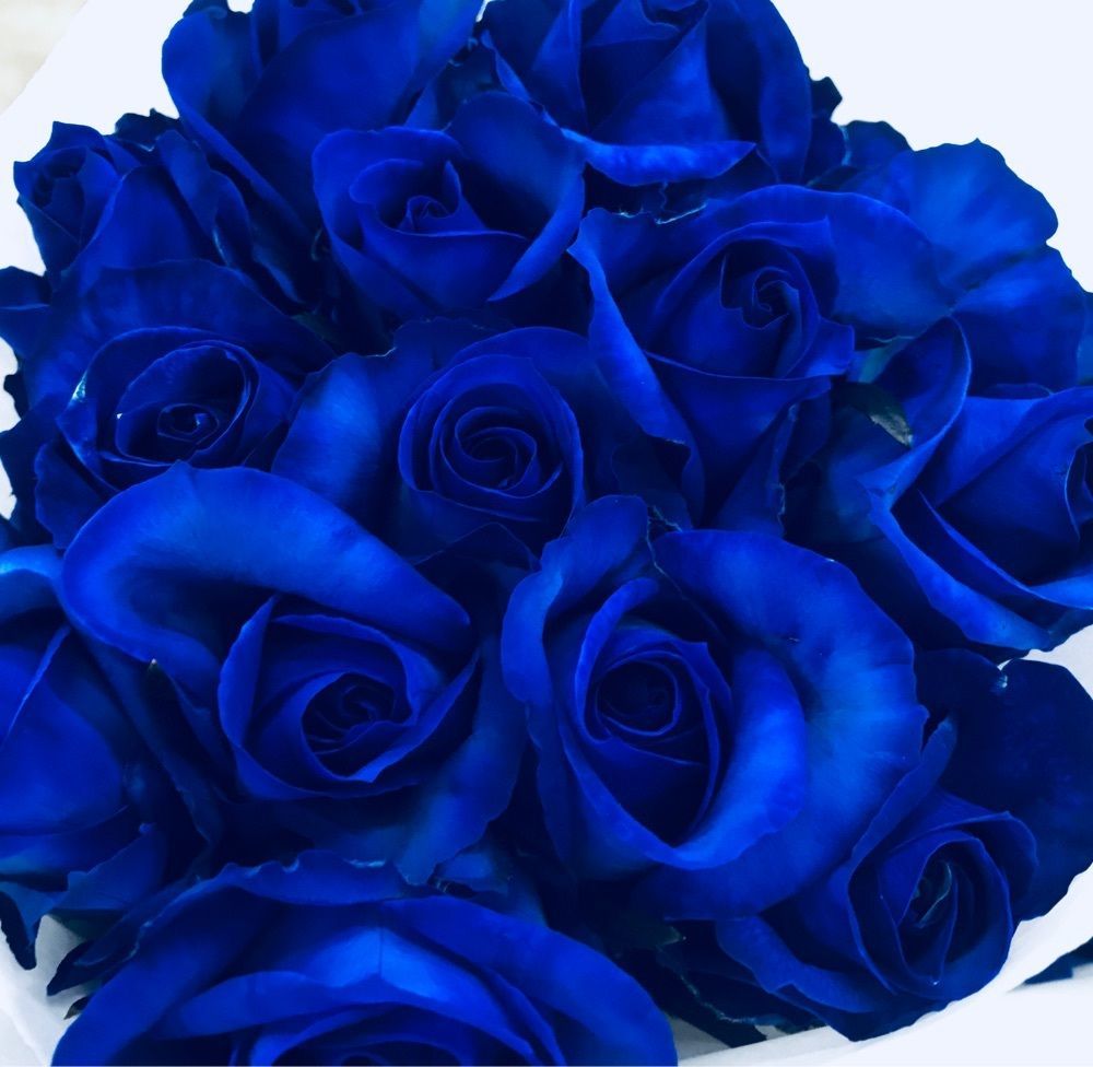 fairly_bluerose