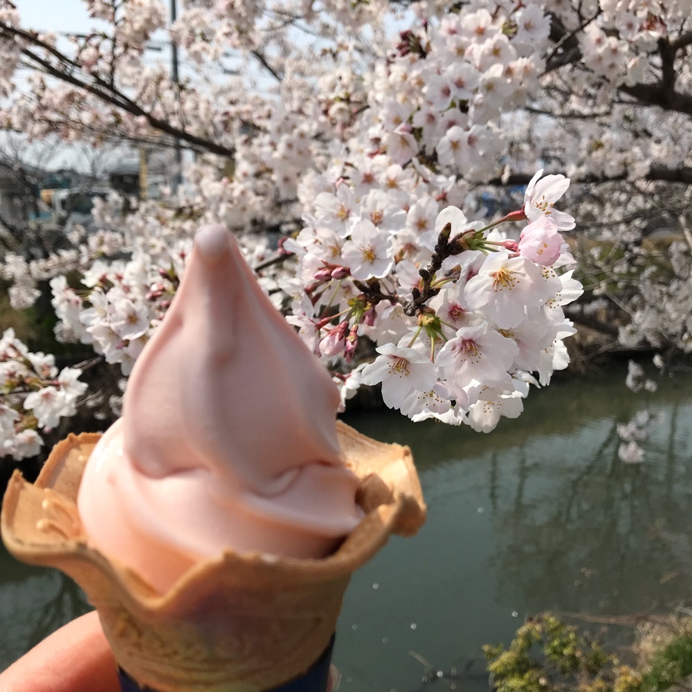 yoshimisa