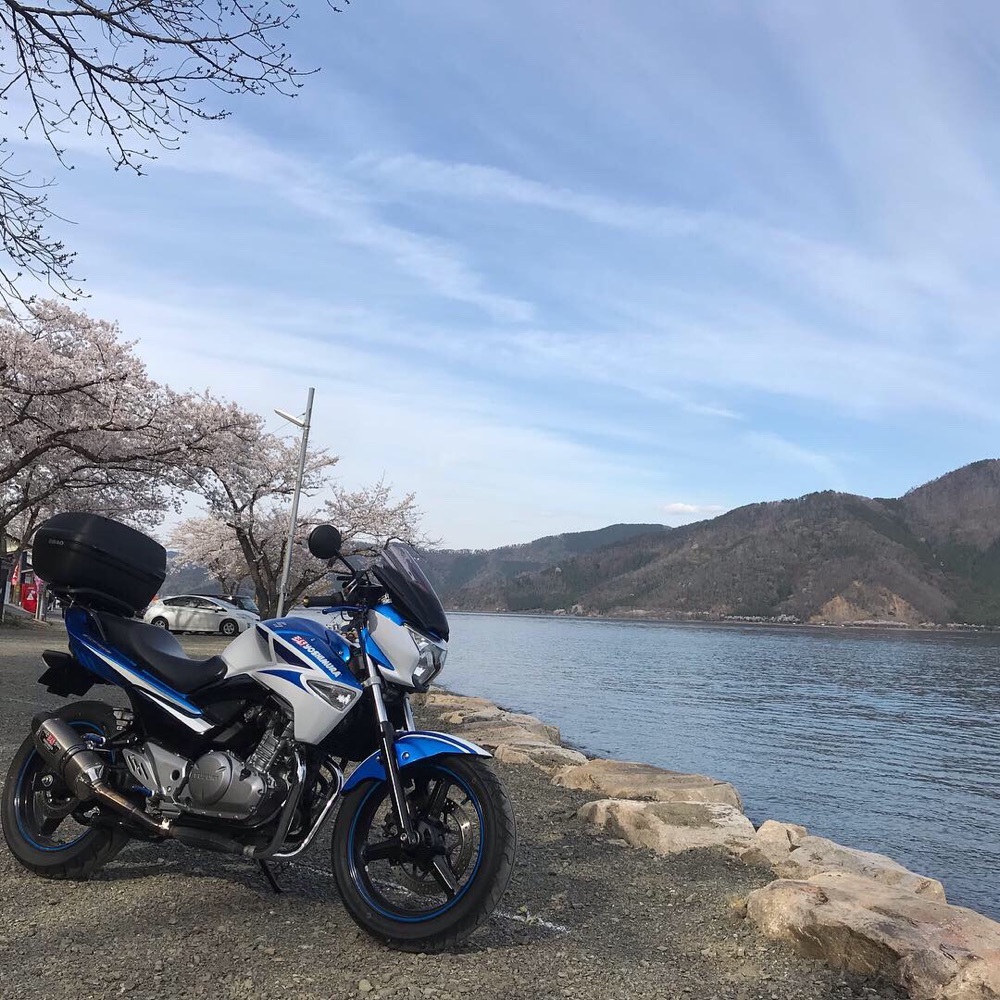 タカ